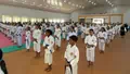 Julie Sutrisno Laiskodat Bidik Prestasi Atlet Kempo NTT di World Taikai dan PON 2028, POPDA Jadi Ajang Pembinaan