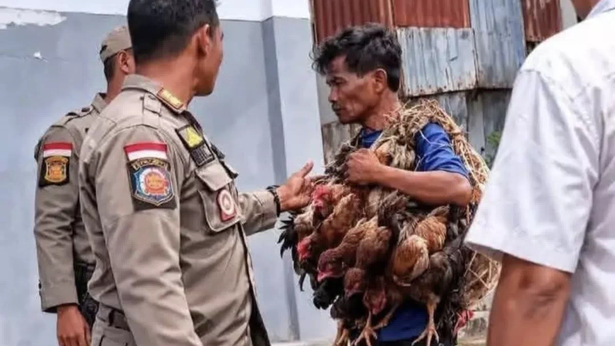 Viral Satpol PP Tertibkan Pedagang Kecil, Bupati Ratu Wulla Talu Diserbu Kritik, ‘Saya Siap Didemo