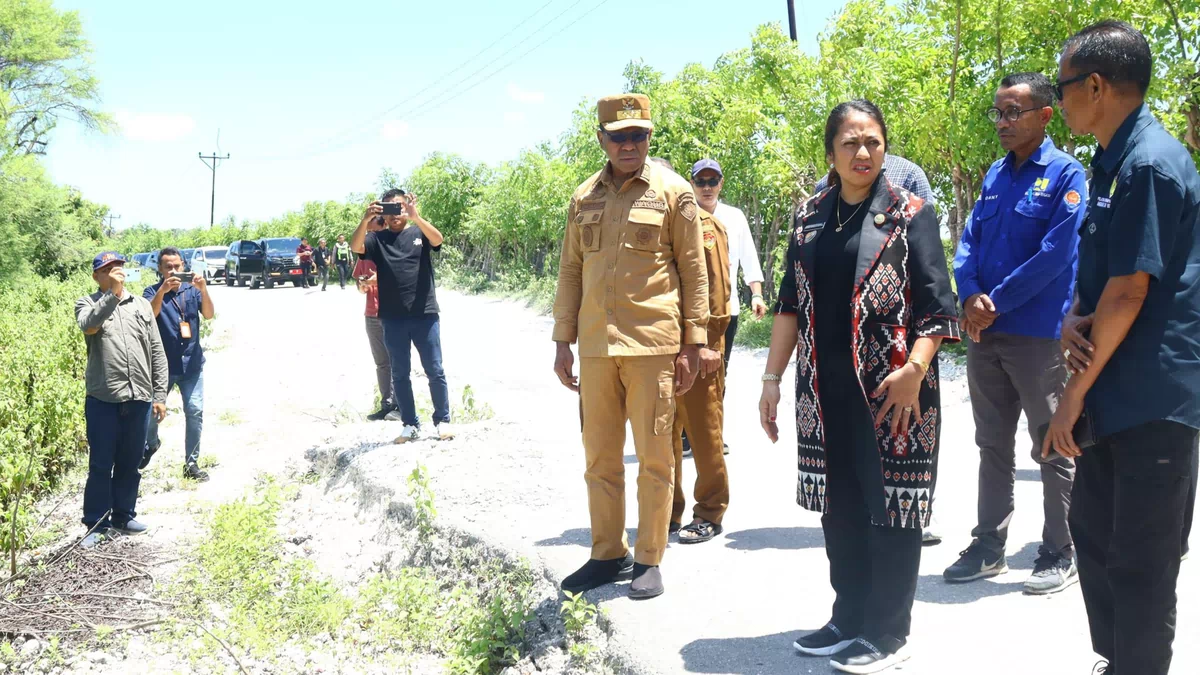 Wagub NTT Johni Asadoma Tinjau Jalan Putus di Rote Ndao, Perbaikan Total Ditarget Rampung Desember 2026
