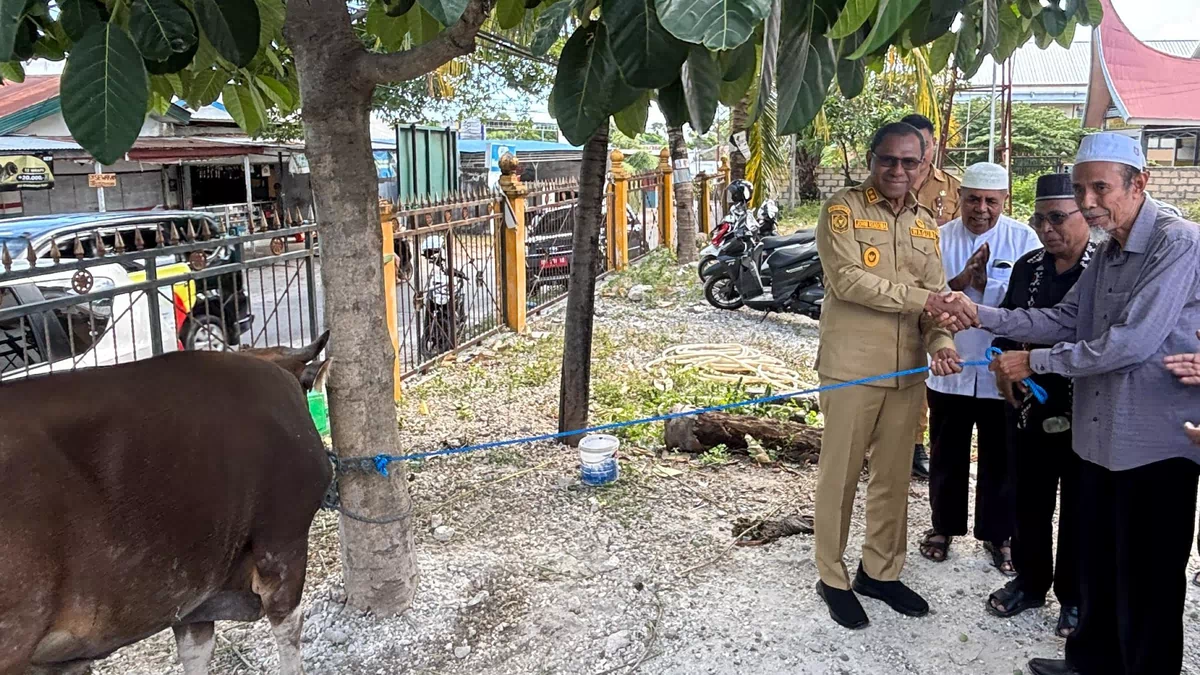 Wagub Johni Serahkan Bantuan Hewan Kurban di Masjid Al-Muhajirin Oebufu, Tekankan Semangat Berbagi