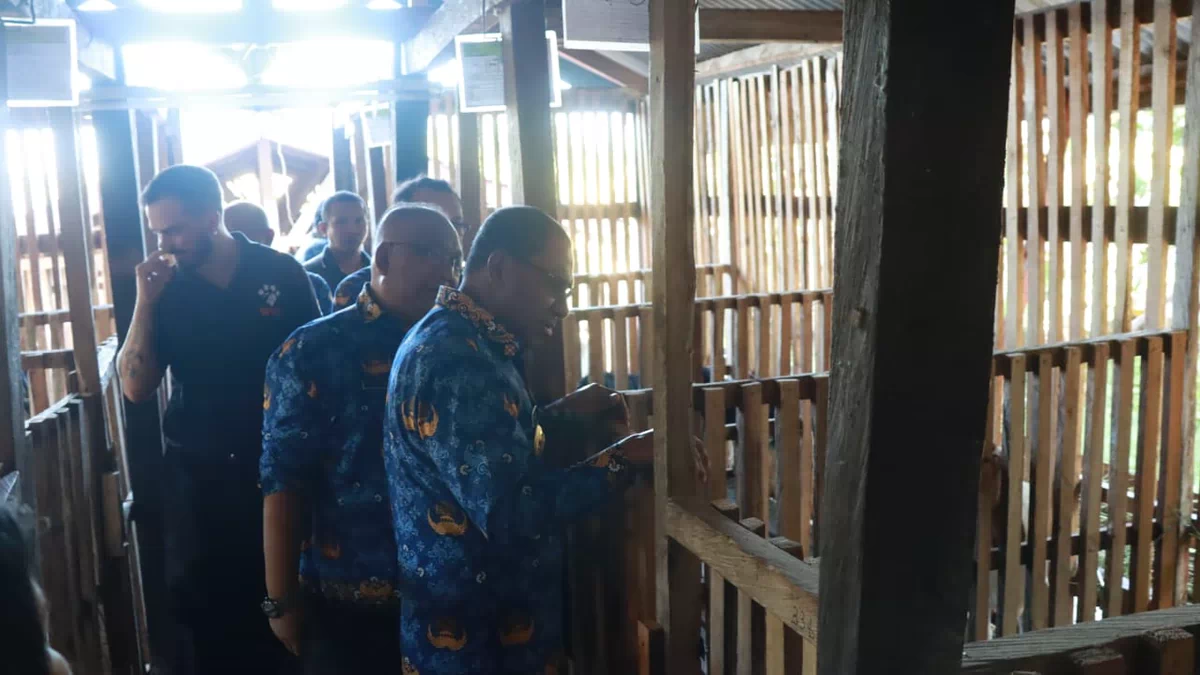 Wagub NTT Terkesan Kambing Unggul Beranak Lima, Siap Sulap 104 Hektar Lahan Peternakan di Sumlili Jadi Sentra Ekonomi Baru