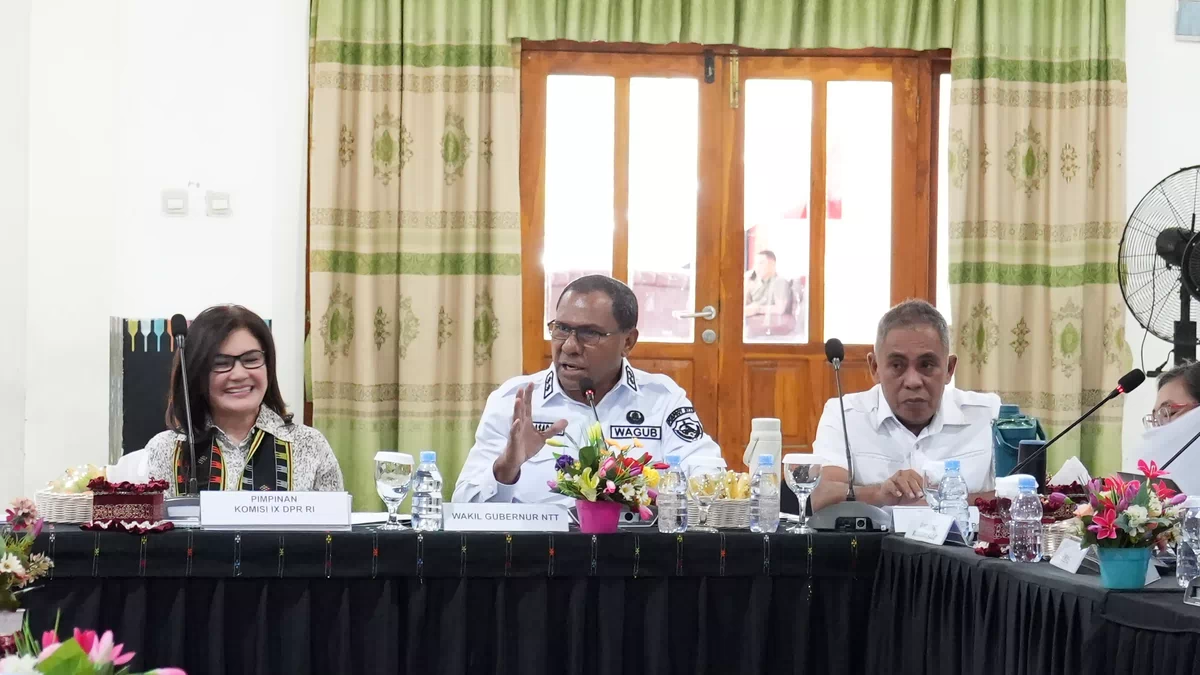 Wagub NTT Sampaikan Sejumlah Persoalan Strategis kepada Komisi IX DPR RI, dari Stunting hingga Dokter Spesialis