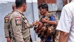 Viral Satpol PP Tertibkan Pedagang Kecil, Bupati Ratu Wulla Talu Diserbu Kritik, ‘Saya Siap Didemo