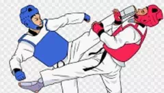 Dicopot Sepihak, Pengurus Lama Taekwondo Belu Surati PBTI Pertanyakan Legalitas Kepengurusan Baru