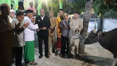 Johni Asadoma Serahkan Sapi Kurban untuk Jemaah Masjid Al Ikhlas Bonipoi, Momen Perkuat Toleransi di NTT