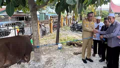 Wagub Johni Serahkan Bantuan Hewan Kurban di Masjid Al-Muhajirin Oebufu, Tekankan Semangat Berbagi